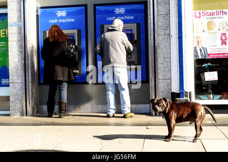 Man and woman using an ATM cash point of a local Halifax branch in Witham Essex with a brown Staffordshire dog looking Stock Photo