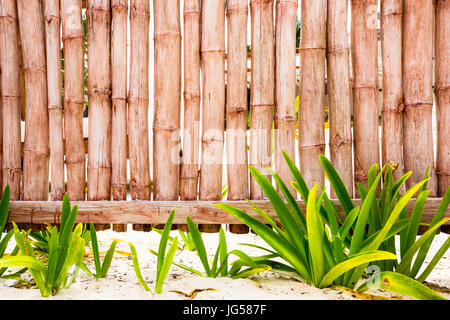 bamboo fence background Stock Photo