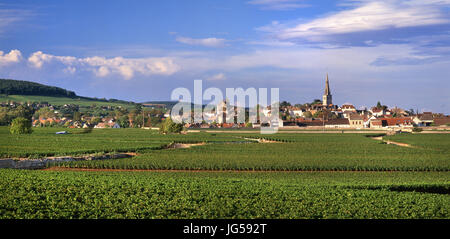 MEURSAULT Panorama landscape view of wine village of Meursault in late afternoon sun viewed over Genevrières vineyard, Meursault Côte d'Or, France. Stock Photo