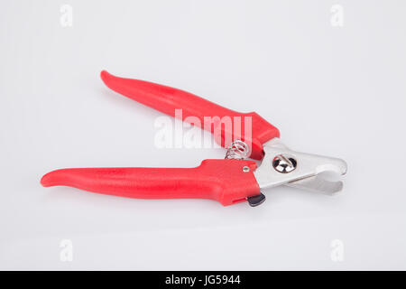 A pair of red dog nail clipper on a white surface. Pet nail clipper isolated on white background. Stock Photo