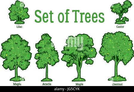 Set Plants, Trees and Bushes Stock Vector