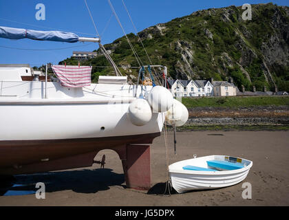 Dinas Oleu, the birthplace of the National Trust, rising above the Mawddach Estuary, Barmouth, Wales, UK Stock Photo