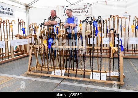 Northern Ireland Stick Carving Club show off hand made walking sticks. Stock Photo