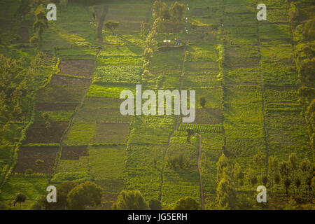 Small squared fields at sunset, Great Rift Valley, Kenya, East Africa Stock Photo