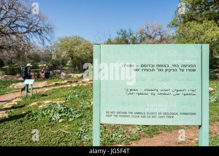 Alonei Abba nature reserve at Spring, Israel Stock Photo