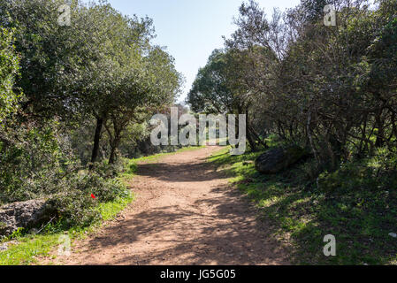 Alonei Abba nature reserve at Spring, Israel Stock Photo