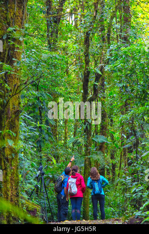Monteverde biological reserve, Costa Rica Stock Photo