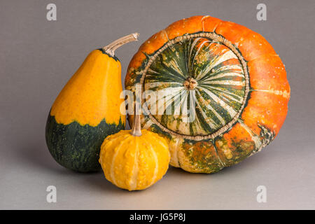 A still life of pumpkin and calabash fruits against a grey background. Stock Photo