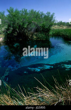 Crystal Spring, Ash Meadows National Wildlife Refuge, Nevada Stock Photo