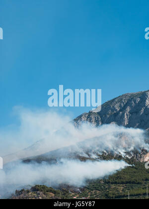 Dramatic forest fire scene in Croatia on hot summer day Stock Photo