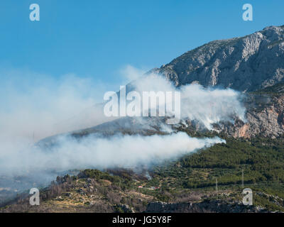 Large forest fire below mountain Biokovo in Croatia Stock Photo
