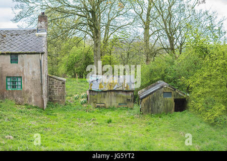 An old deserted cottage and run down sheds Stock Photo