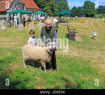 Man with grazing sheep on leash in churchyard, summer village event Blaxhall church, Suffolk, England, UK Stock Photo