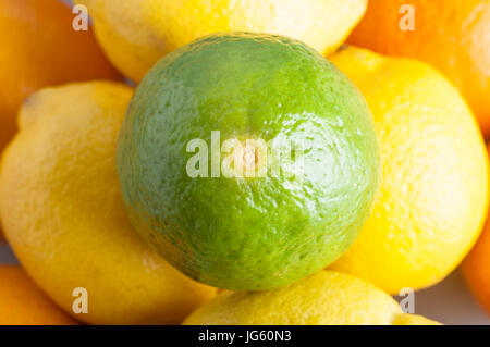 Close up (macro) overhead shot of a lime, sitting on top of a round of lemons, beneath which are oranges.  Represents citrus fruits containing Vitamin Stock Photo