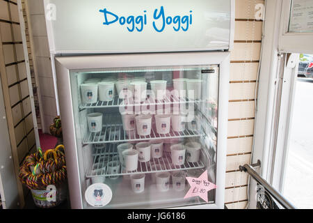 doggi yoggi,dog,yoghurt,at, ice cream, shop,Aberdovey,Aberdyfi,Gwynedd,North,Wales,North Wales,Welsh,coastal,coast,town,seaside,U.K.,UK,GB,Europe, Stock Photo