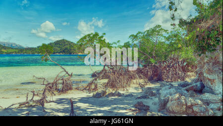 in the philippines island beautiful cosatline tree hill and boat for tourist Stock Photo