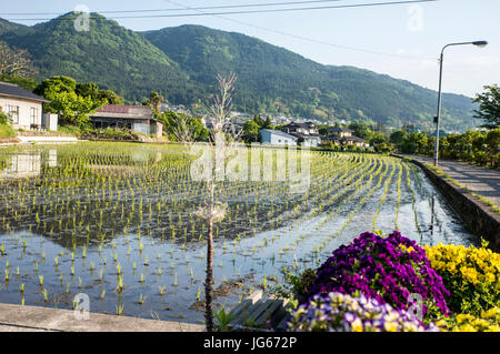 Yufuin, Kyushu, Japan Stock Photo