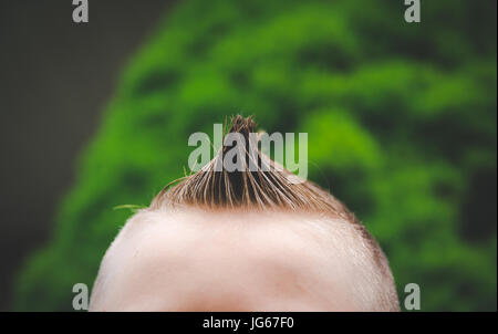 A spiked hair cut on a boy. Stock Photo