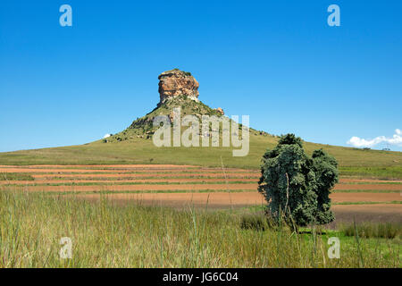 Rock outcrop near Clarens Free State South Africa Stock Photo