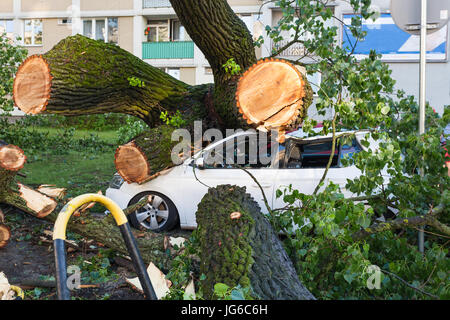 White passenger car crushed by fallen tree after severe storm Stock Photo