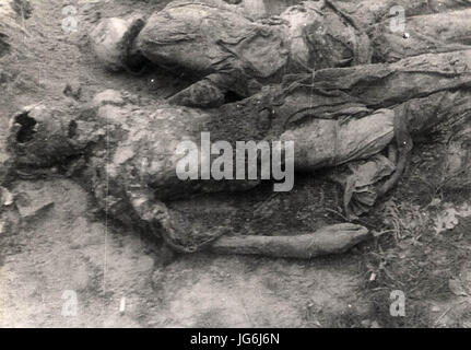 Remains of victims at Janowska Nazi camp after its liberation 28Lviv west Ukraine29 Stock Photo