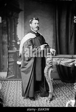 Revd Canon Evan Thomas Davies Saint David s Church Liverpool 28Dyfrig 1847-19  NLW3363073 Stock Photo