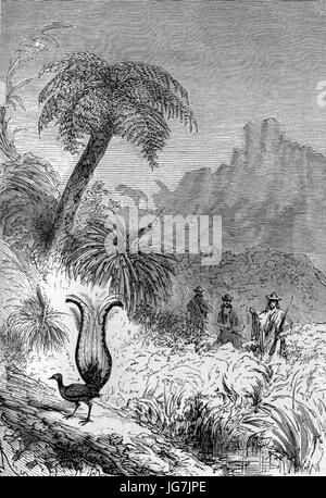 'The Children of Captain Grant,' illustrated by Édouard Riou, is a ...