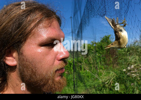 Bird ringing in Crna Mlaka Stock Photo