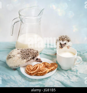 Funny hedgehogs near a mug of milk Stock Photo