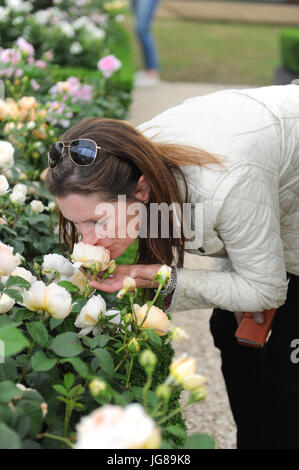 London, UK. 3rd July, 2017. A woman smelling a rose on display in the Floral Marquee on the opening day of the 2017 RHS Chelsea Flower Show  The Floral Marquee is 6,750 square metres, big enough to fit an FA football pitch. It houses over one hundred displays and up to 1,200 plants from all around the UK and beyond. Stock Photo