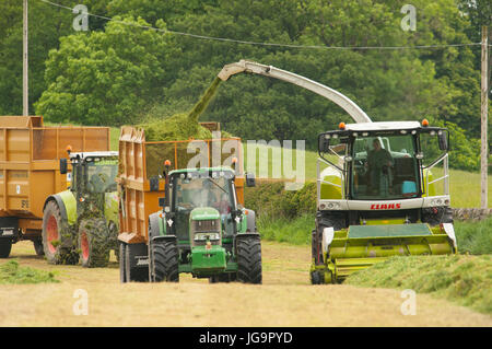 Silage lifting with John Deere tractor and Claas Chopper Stock Photo