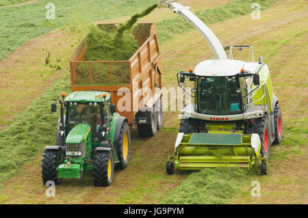 Silage lifting with John Deere tractor and Claas Chopper Stock Photo