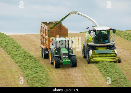 Silage lifting with John Deere tractor and Claas Chopper Stock Photo