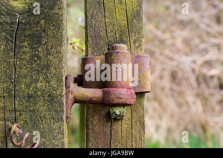 Close up of an old, metal, rusty hinge on a wooden post, taken on a countryside walk Stock Photo