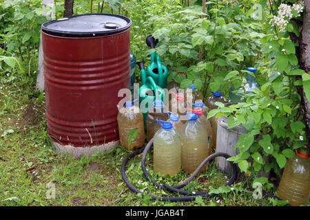 Barrels, canisters and watering cans with water are found in blackberry thickets. Water is prepared  for watering plants in a vegetable garden Stock Photo