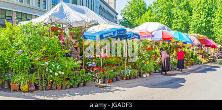 TBILISI, GEORGIA - JUNE 5, 2016: Panorama of the Flower Market in former Kolchos Square in Mtatsminda district, the saplings, seedlings, plants and fl Stock Photo