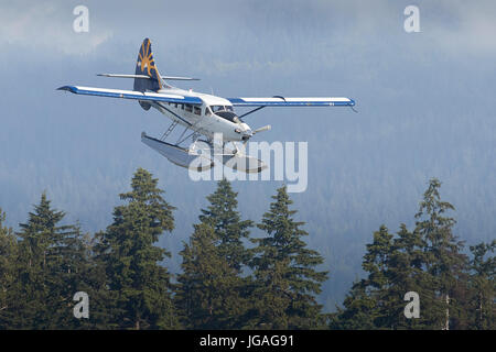 Harbour Air Turbo Otter Floatplane In The Whistler Air Insignia Approaching Vancouver Harbour, British Columbia, Canada. Stock Photo