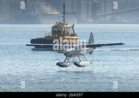 Harbour Air Seaplanes Turbo Otter Floatplane In The Victoria Royals Livery, Landing In Vancouver Harbour, British Columbia, Canada. Stock Photo