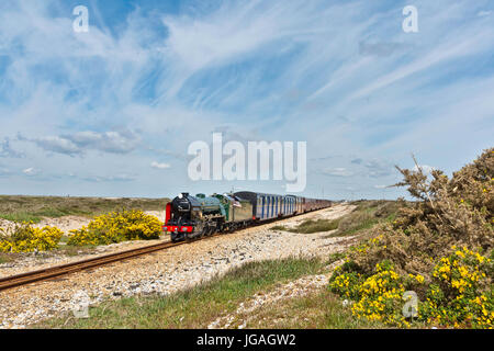 Romney, Hythe and Dymchurch railway. A 15' gauge miniature railway in Kent UK to Dungeness. The Uks only desert Stock Photo