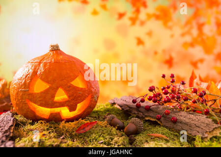 Jack O'Lantern in an autumn nature still life in bright light with copy space.