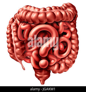 Digestion questions as the human intestine and colon shaped as a gastrointestinal question mark as a symbol for colonoscopy.