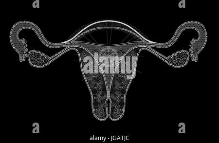 white line illustration of human female reproductive system with black background and time clock Stock Photo