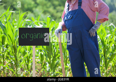 Farmer standing in front of the organic corn field Stock Photo