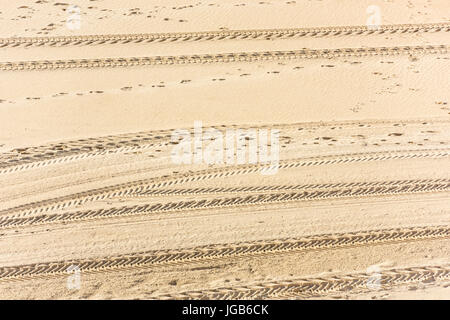 Traces of car tires on the sand as a background Stock Photo