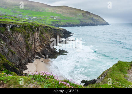 Slea Head (Irish: Ceann Sléibhe) is a promontory in the westernmost part of the Dingle Peninsula, located in the barony of Corca Dhuibhne in southwest Stock Photo