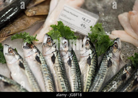Fresh fish on display for sale in a supermarket fishmongers store. Stock Photo