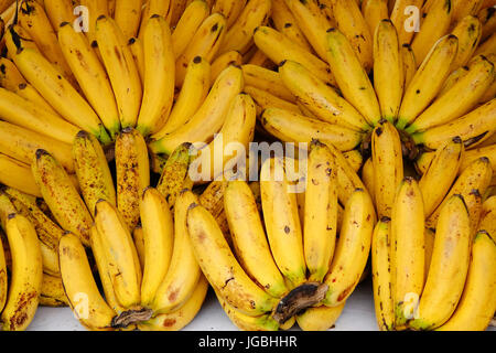 Cultivated banana for retail sale at local fruits market in Asia. Stock Photo