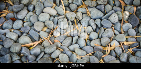 Stone decoration at the city park in Singapore. Close up. Stock Photo