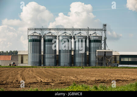 Silos on the field. Grain Storage Bins. Elevator to store grain in a field on farmland. Stock Photo