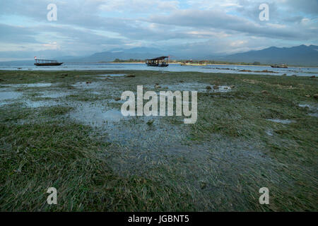 VIew to Lombok mountains from the beach of Gili Air with seagrass landscape during sunset, Indonesia Stock Photo